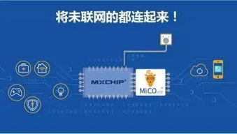 互聯網的蛻變 從虛擬世界到智能生態的融合