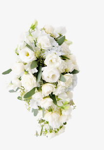 免費(fèi)高清白色玫瑰花素材 千庫(kù)網(wǎng)編號(hào)6473029實(shí)物PNG下載指南
