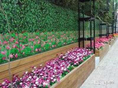 花卉園藝師證報(bào)考指南 報(bào)名流程、考試內(nèi)容及費(fèi)用全解析