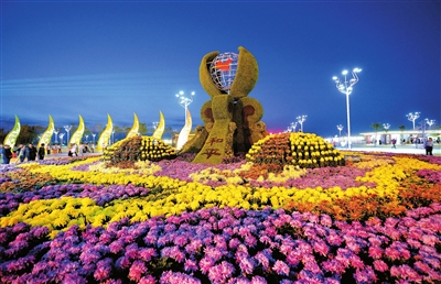 花卉博覽會的魅力與苗木種植的藝術